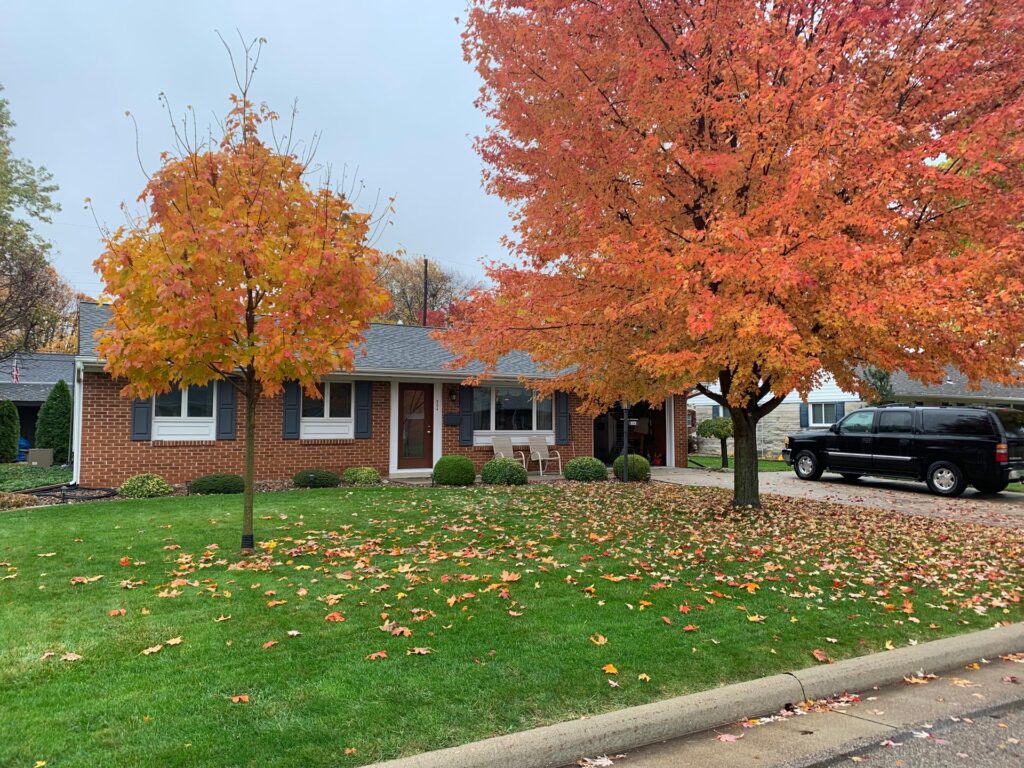 Home in the fall with homeowners insurance in Holland, OH